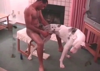 Guy throat-fucking a horny dog