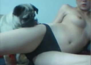 Zoophile porn shows a fishnets-wearing dog teaser