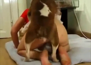 Sublime zoophile porn with a sexy dog fucker