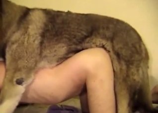 Zoo porn movie with a guy who gets ASS FUCKED