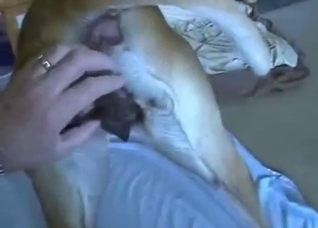 Dude's phat ass on display as he fucks a dog