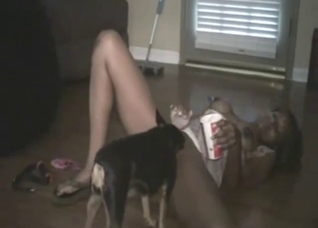 Brunette opens her legs to get licked by dog