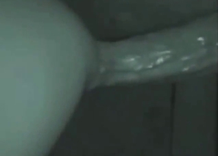 Horse pleasure experience with great fisting