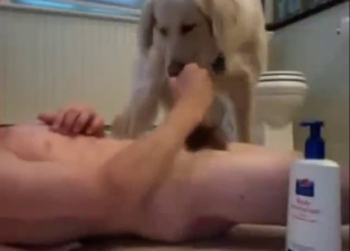 Awesome Omegle experience with a teen dog fucker