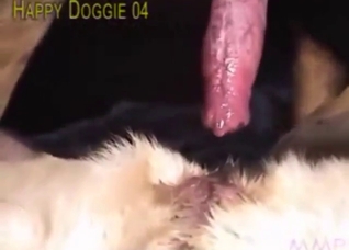 Zoophile porn movie with a guy who fucks hard