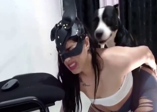 Zoophile porn showing a bunch of hard dogs