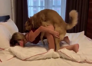 Zoo porn movie with a bunch of hot girls
