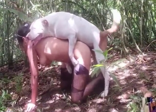 Zoo porn movie with a bunch of hot girls