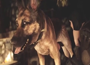 Brunette with a tight hole fucks dogs in zoo XXX