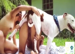 Two South American girls fuck the same mutt