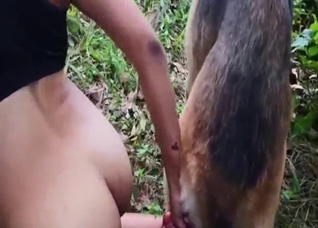 With an array of thrusts, dog makes Latina cum