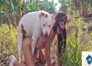 With an array of thrusts, dog makes Latina cum