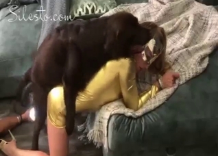 Bestiality porn with a girl who wants a black dog