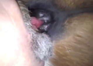 Dude has romantic feelings for the horse he fucks