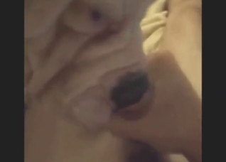 Licking session with a sexy animal on a bed