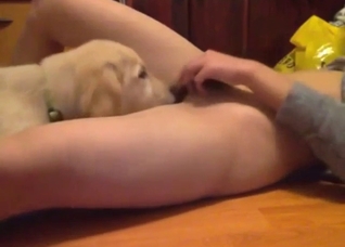 Asian enjoys zoophilic action with legit orgasms