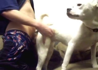 Guy puts a cock in his white dog's slutty hole