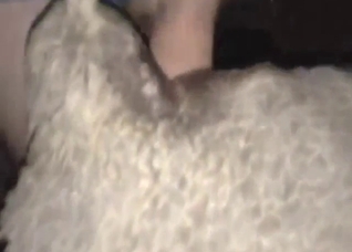 Slutty sheep is going to get fucked by a hot dude