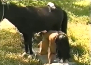 Horse fucking with close-ups, true stallion gape