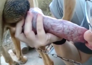 Blowjob-themed zoo XXX with a slutty lady