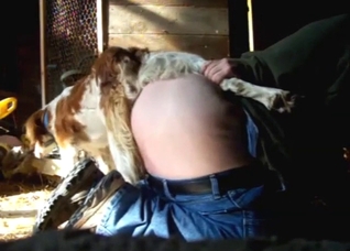 Doggystyle zoo porn with a knot entering ass