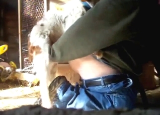 Doggystyle zoo porn with a knot entering ass