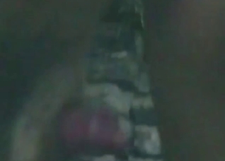 Hot zoo XXX showing a dog pussy licker in HD