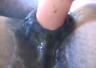 Hot toy play featured in zoo sex with a horse