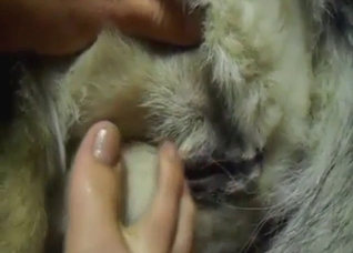 Asshole opens for a zoophile's long fucking toe