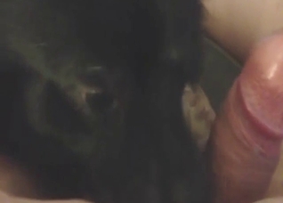 Oral zoo sex with plenty of licking, real orgasms