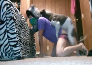 Twink is getting punished by a big-dicked doggo