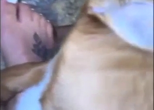 Footjob bestiality porn does look so impressive