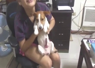 Sexy smaller dog showing off its nice dick on cam