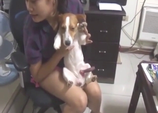 Sexy smaller dog showing off its nice dick on cam