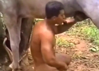 Guy with a round booty gets to enjoy stallion dick