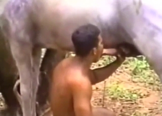 Guy with a round booty gets to enjoy stallion dick