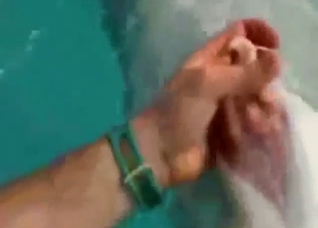 Dolphin's curved cock is getting stroked in POV
