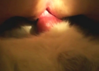 GF is bouncing on a dog's boner just for funsies