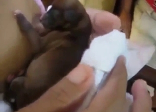 Breast worship session with a small fucking puppy