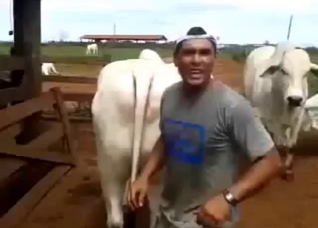 Dude is not above corrupting a cow's pussy on cam