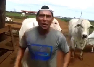 Dude is not above corrupting a cow's pussy on cam