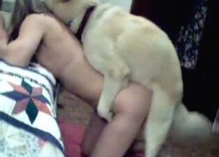 Stunning sex session with a horny dog