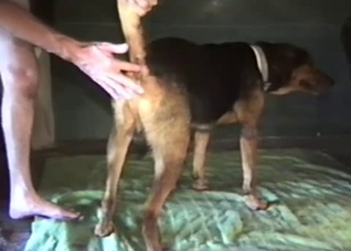 Skinny dude fucking his sexy doggo