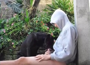 Hoodie hottie makes out with a dog