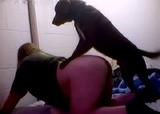 Impassioned dog fucks the owner