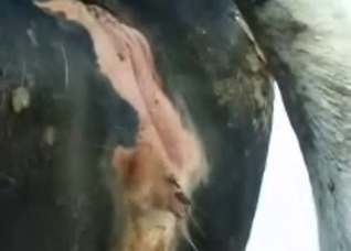 Close-ups you've always wanted to see