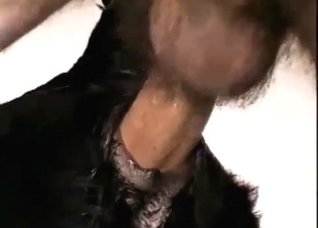 Animal fuck-fest with hot close-ups