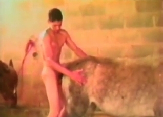 Dude fucking a very horny farm animal
