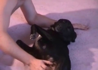 Extreme action with a black doggo