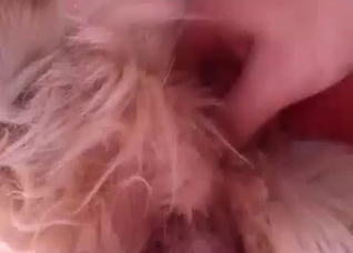 All over that delicious animal hole